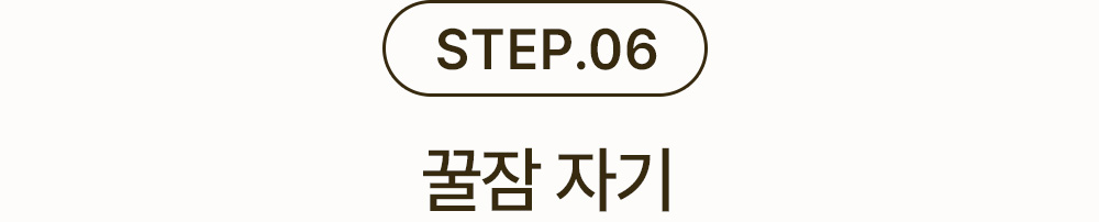 STEP06 ڱ